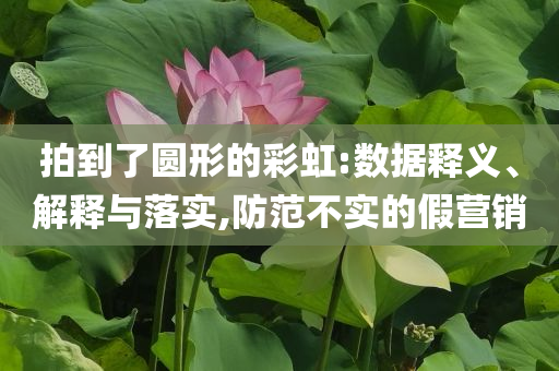 拍到了圓形的彩虹:數據釋義、解釋與落實,防范不實的假營銷