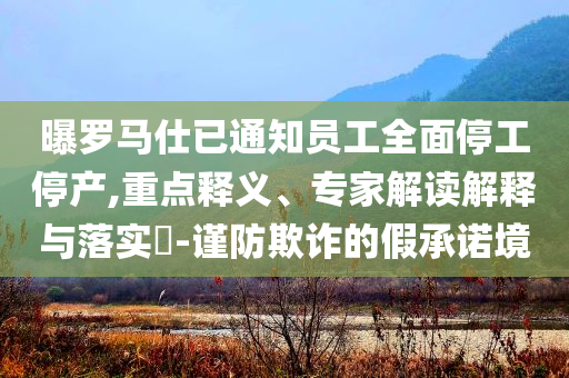曝羅馬仕已通知員工全面停工停產,重點釋義、專家解讀解釋與落實?-謹防欺詐的假承諾境