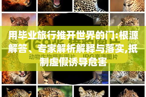 用畢業旅行推開世界的門:根源解答、專家解析解釋與落實,抵制虛假誘導危害