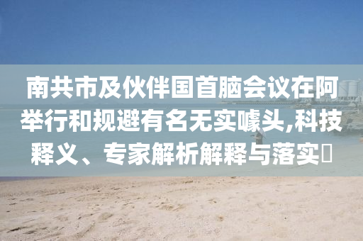 南共市及伙伴國首腦會議在阿舉行和規避有名無實噱頭,科技釋義、專家解析解釋與落實?