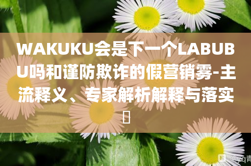 WAKUKU會是下一個LABUBU嗎和謹防欺詐的假營銷霧-主流釋義、專家解析解釋與落實?