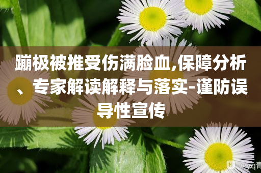 蹦極被推受傷滿臉血,保障分析、專家解讀解釋與落實-謹(jǐn)防誤導(dǎo)性宣傳