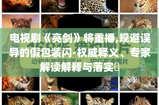 電視劇《亮劍》將重播,規避誤導的假包裝閃-權威釋義、專家解讀解釋與落實?