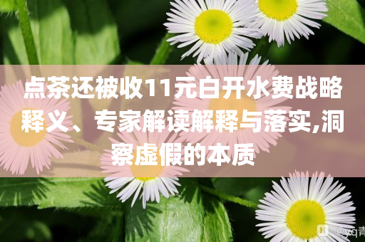 點茶還被收11元白開水費戰略釋義、專家解讀解釋與落實,洞察虛假的本質