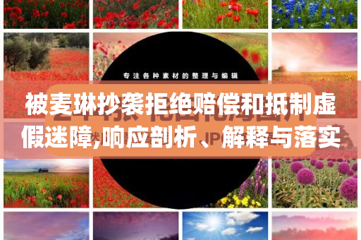 被麥琳抄襲拒絕賠償和抵制虛假迷障,響應剖析、解釋與落實
