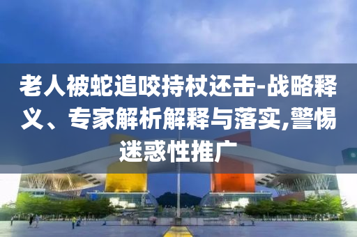 老人被蛇追咬持杖還擊-戰(zhàn)略釋義、專家解析解釋與落實,警惕迷惑性推廣