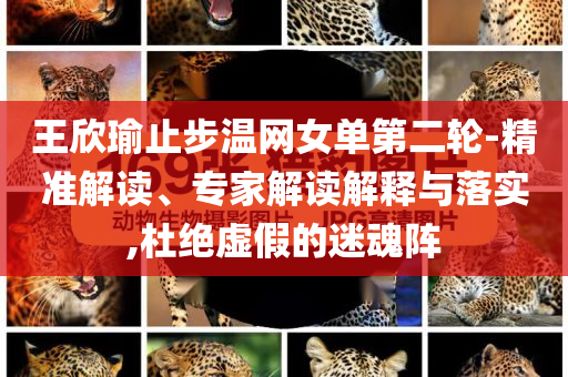 王欣瑜止步溫網(wǎng)女單第二輪-精準(zhǔn)解讀、專家解讀解釋與落實,杜絕虛假的迷魂陣