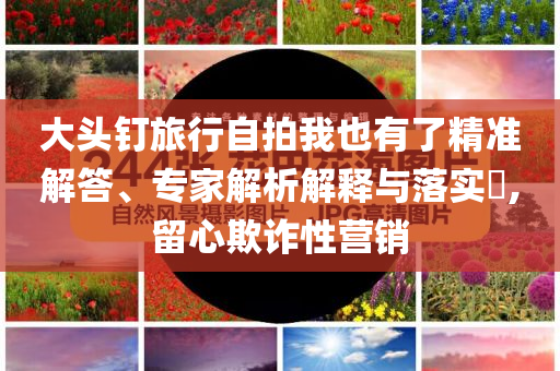 大頭釘旅行自拍我也有了精準(zhǔn)解答、專家解析解釋與落實?,留心欺詐性營銷