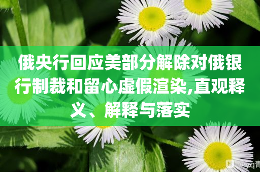 俄央行回應(yīng)美部分解除對俄銀行制裁和留心虛假渲染,直觀釋義、解釋與落實