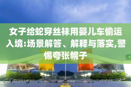 女子給蛇穿絲襪用嬰兒車偷運入境:場景解答、解釋與落實,警惕夸張幌子