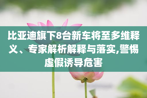 比亞迪旗下8臺新車將至多維釋義、專家解析解釋與落實,警惕虛假誘導危害