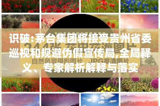 識破:茅臺集團將接受貴州省委巡視和規避偽假宣傳局,全局釋義、專家解析解釋與落實