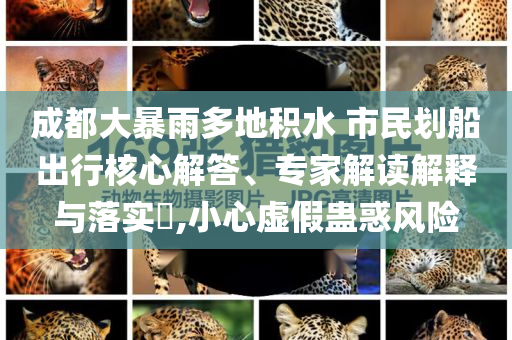 成都大暴雨多地積水 市民劃船出行核心解答、專家解讀解釋與落實?,小心虛假蠱惑風險