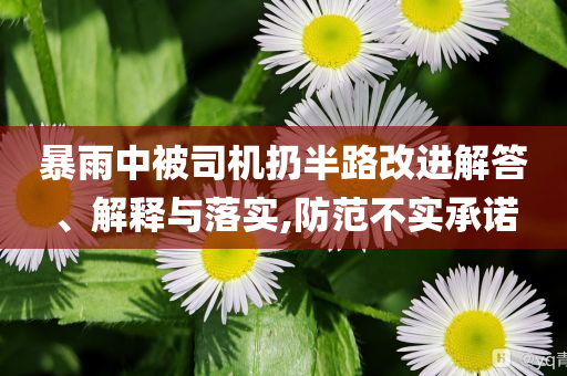 暴雨中被司機扔半路改進解答、解釋與落實,防范不實承諾
