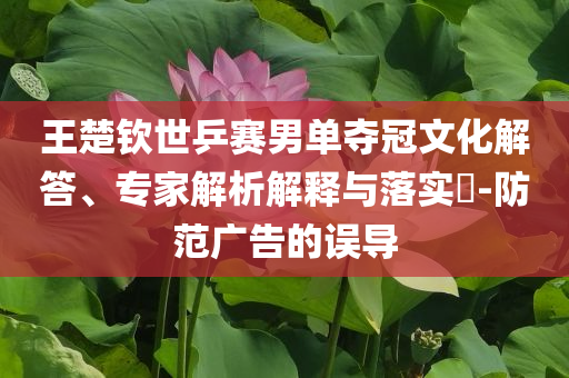 王楚欽世乒賽男單奪冠文化解答、專家解析解釋與落實?-防范廣告的誤導