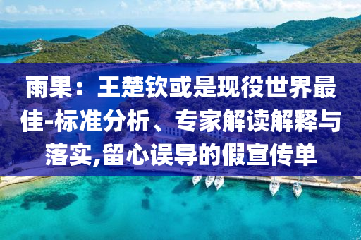雨果：王楚欽或是現役世界最佳-標準分析、專家解讀解釋與落實,留心誤導的假宣傳單