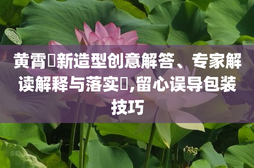 黃霄雲(yún)新造型創(chuàng)意解答、專家解讀解釋與落實(shí)?,留心誤導(dǎo)包裝技巧