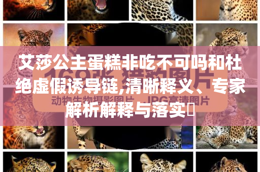 艾莎公主蛋糕非吃不可嗎和杜絕虛假誘導鏈,清晰釋義、專家解析解釋與落實?