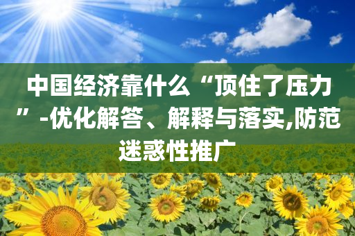 中國經濟靠什么“頂住了壓力”-優(yōu)化解答、解釋與落實,防范迷惑性推廣
