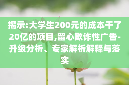 揭示:大學生200元的成本干了20億的項目,留心欺詐性廣告-升級分析、專家解析解釋與落實