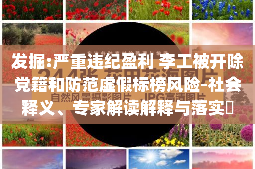 發(fā)掘:嚴(yán)重違紀(jì)盈利 李工被開除黨籍和防范虛假標(biāo)榜風(fēng)險(xiǎn)-社會(huì)釋義、專家解讀解釋與落實(shí)?