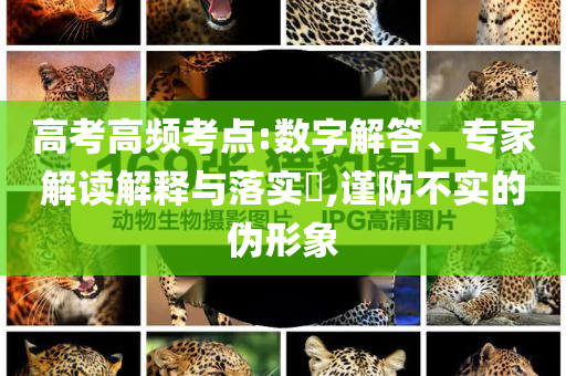 高考高頻考點(diǎn):數(shù)字解答、專家解讀解釋與落實(shí)?,謹(jǐn)防不實(shí)的偽形象