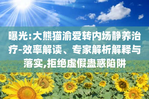 曝光:大熊貓渝愛轉內場靜養治療-效率解讀、專家解析解釋與落實,拒絕虛假蠱惑陷阱