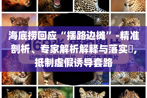 海底撈回應(yīng)“擺路邊攤”-精準(zhǔn)剖析、專家解析解釋與落實(shí)?,抵制虛假誘導(dǎo)套路