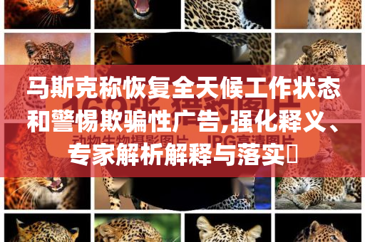 馬斯克稱恢復(fù)全天候工作狀態(tài)和警惕欺騙性廣告,強(qiáng)化釋義、專家解析解釋與落實(shí)?