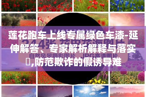 蓮花跑車上線專屬綠色車漆-延伸解答、專家解析解釋與落實?,防范欺詐的假誘導難