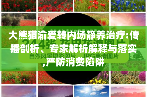 大熊貓渝愛轉內場靜養治療:傳播剖析、專家解析解釋與落實,嚴防消費陷阱