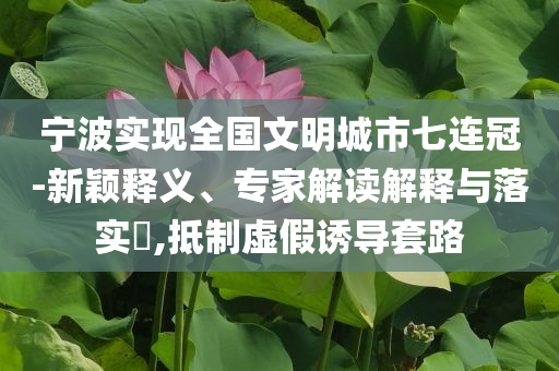 寧波實現全國文明城市七連冠-新穎釋義、專家解讀解釋與落實?,抵制虛假誘導套路