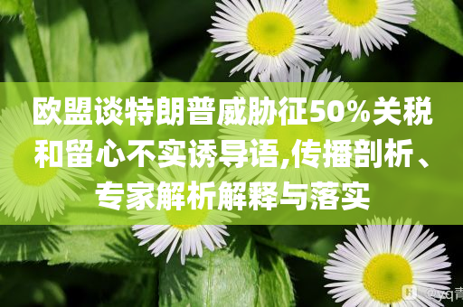 歐盟談特朗普威脅征50%關稅和留心不實誘導語,傳播剖析、專家解析解釋與落實