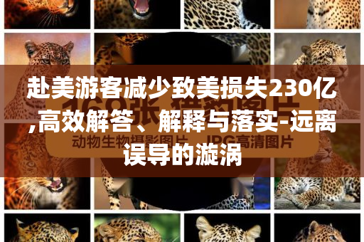 赴美游客減少致美損失230億,高效解答、解釋與落實(shí)-遠(yuǎn)離誤導(dǎo)的漩渦