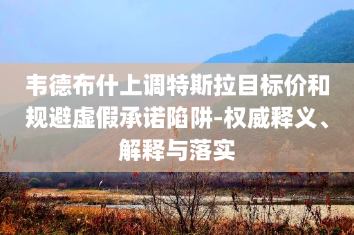 韋德布什上調特斯拉目標價和規避虛假承諾陷阱-權威釋義、解釋與落實