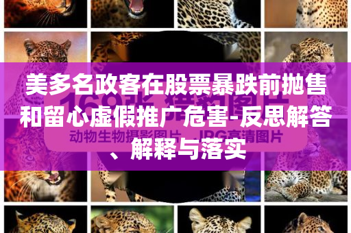 美多名政客在股票暴跌前拋售和留心虛假推廣危害-反思解答、解釋與落實