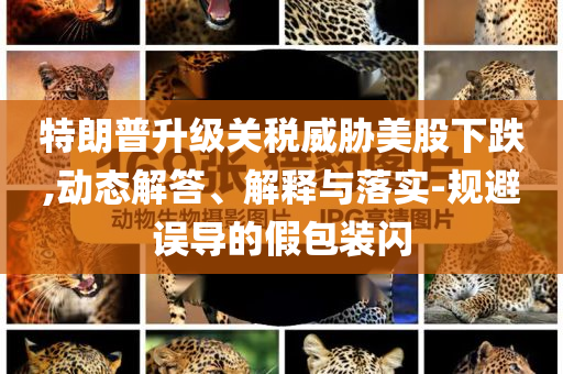 特朗普升級關稅威脅美股下跌,動態解答、解釋與落實-規避誤導的假包裝閃