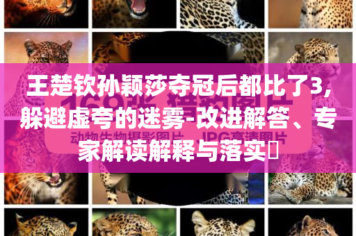 王楚欽孫穎莎奪冠后都比了3,躲避虛夸的迷霧-改進解答、專家解讀解釋與落實?