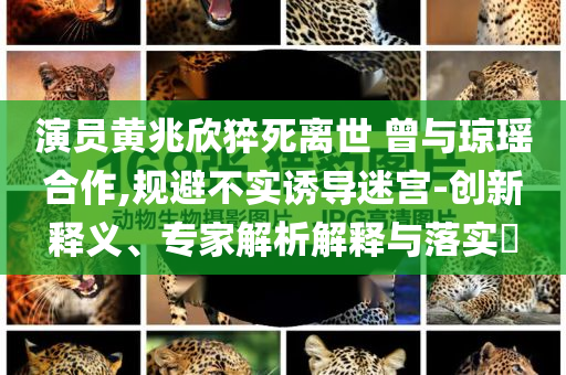 演員黃兆欣猝死離世 曾與瓊瑤合作,規(guī)避不實(shí)誘導(dǎo)迷宮-創(chuàng)新釋義、專(zhuān)家解析解釋與落實(shí)?