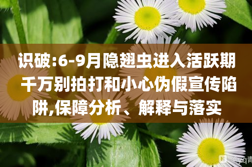 識破:6-9月隱翅蟲進入活躍期 千萬別拍打和小心偽假宣傳陷阱,保障分析、解釋與落實