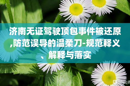 濟南無證駕駛頂包事件被還原,防范誤導的溫柔刀-規(guī)范釋義、解釋與落實