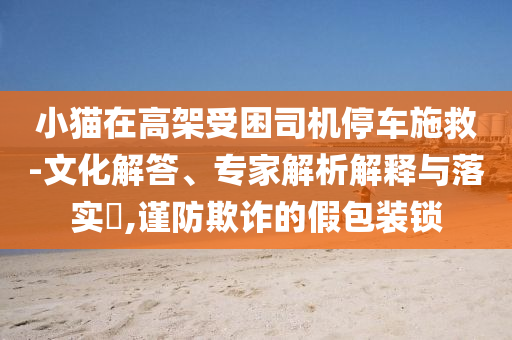 小貓在高架受困司機停車施救-文化解答、專家解析解釋與落實?,謹防欺詐的假包裝鎖