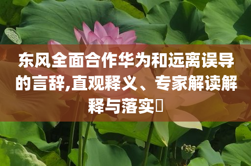 東風全面合作華為和遠離誤導的言辭,直觀釋義、專家解讀解釋與落實?