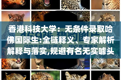 香港科技大學：無條件錄取哈佛國際生:全鏈釋義、專家解析解釋與落實,規避有名無實噱頭