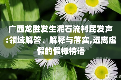 廣西龍勝發生泥石流村民發聲:領域解答、解釋與落實,遠離虛假的假標榜語