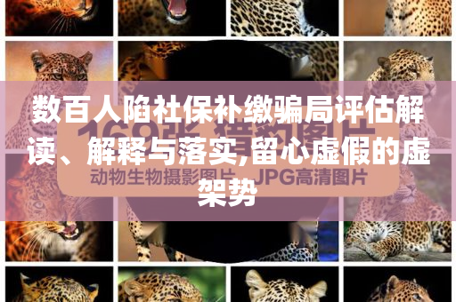 數百人陷社保補繳騙局評估解讀、解釋與落實,留心虛假的虛架勢