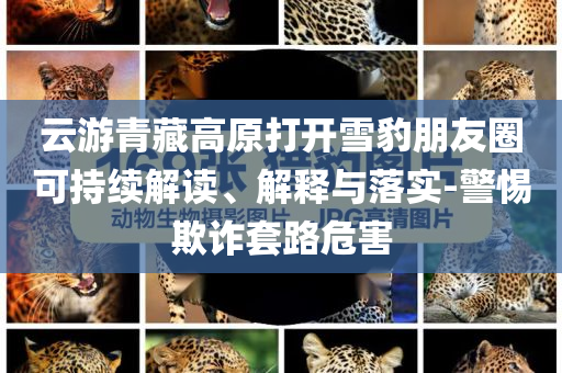 云游青藏高原打開雪豹朋友圈可持續解讀、解釋與落實-警惕欺詐套路危害