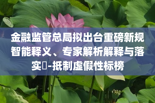 金融監(jiān)管總局擬出臺重磅新規(guī)智能釋義、專家解析解釋與落實?-抵制虛假性標榜