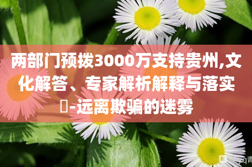 兩部門預撥3000萬支持貴州,文化解答、專家解析解釋與落實?-遠離欺騙的迷霧