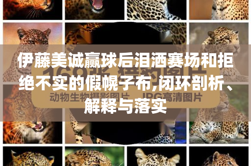 伊藤美誠(chéng)贏球后淚灑賽場(chǎng)和拒絕不實(shí)的假幌子布,閉環(huán)剖析、解釋與落實(shí)